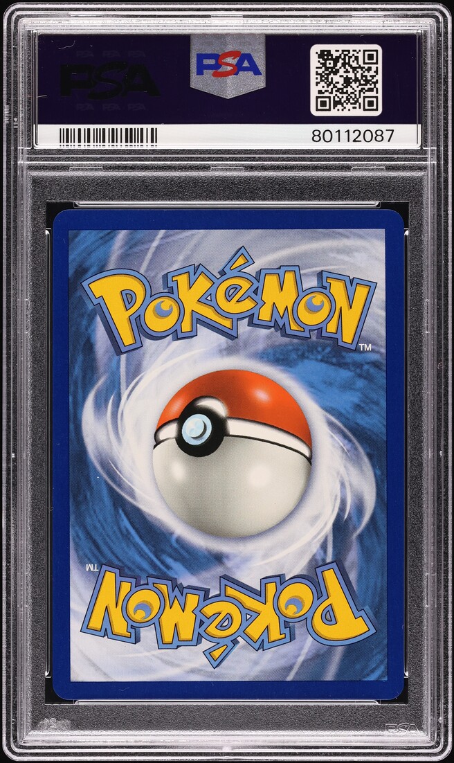 2019 Pokemon SM Unified Minds Alt Art Raichu & Alolan Raichu GX #221 PSA 10 GEM
