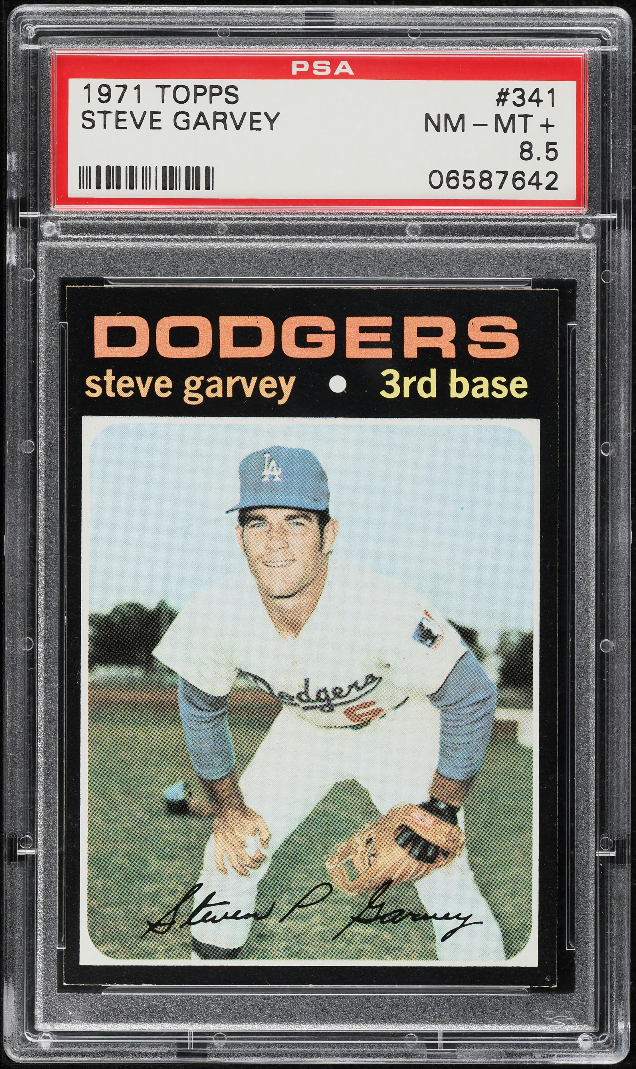 85   スティーブンステイルバーグ 1971 Topps Steve Garvey ROOKIE #341 PSA 8.5 NM-MT+ on