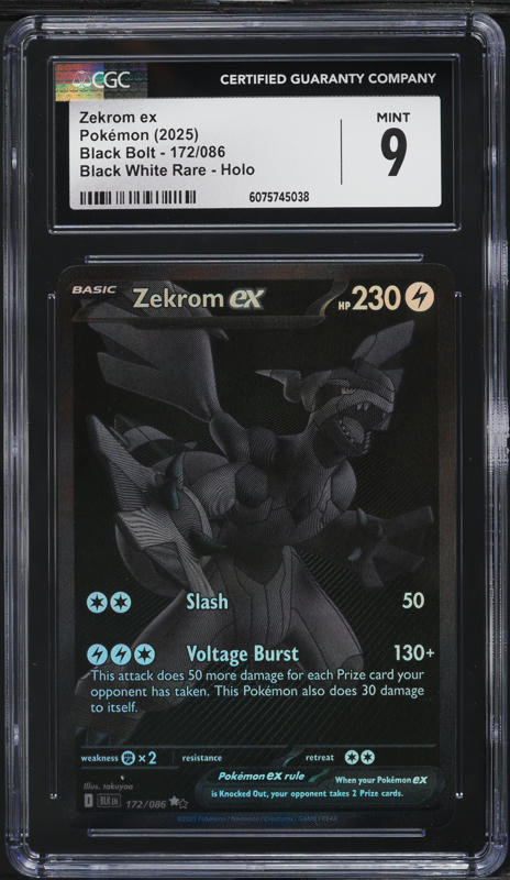 2025 ポケモン ゼクロムex #174 PSA 10 2025 ポケモン ゼクロムex #174 PSA 10 PSA10】ゼクロムex BWR