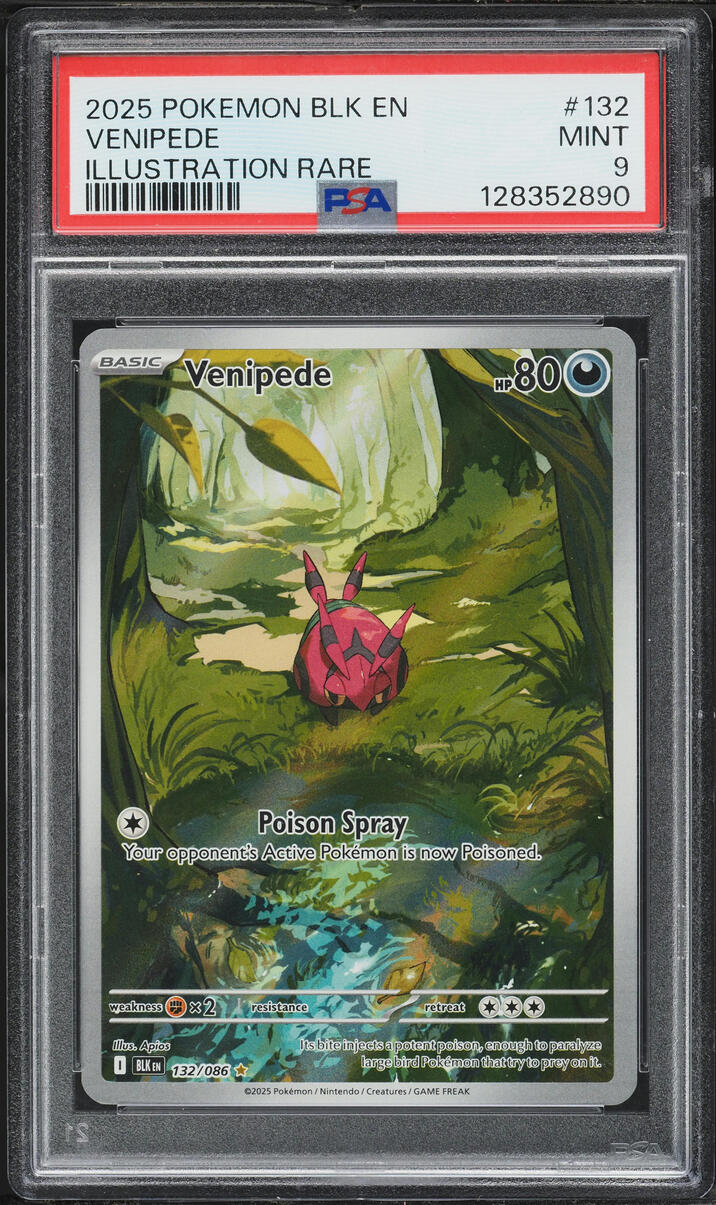 2025 Pokemon Scarlet & Violet Black Bolt IR Venipede #132 PSA 9 MINT