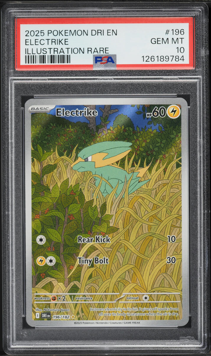 2025 Pokemon Scarlet & Violet Destined Rivals IR Electrike #196 PSA 10 GEM MINT