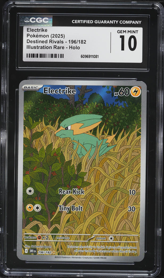 2025 Pokemon Scarlet & Violet Destined Rivals IR Electrike #196 CGC 10 GEM MINT