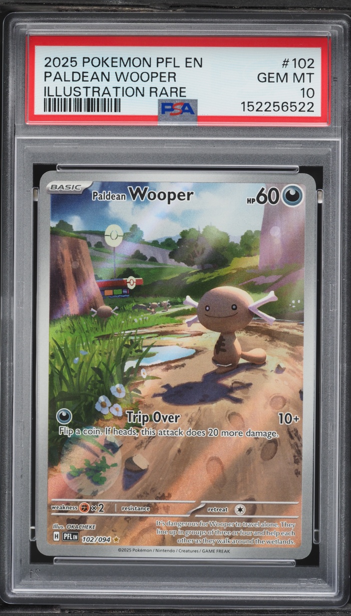 2025 Pokemon Phantasmal Flames Illustration Rare Paldean Wooper #102 PSA 10 GEM MINT