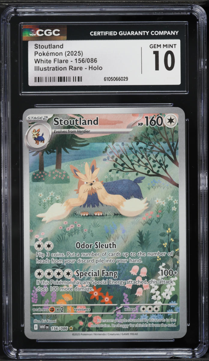 2025 Pokemon Scarlet & Violet White Flare IR Stoutland #156 CGC 10 GEM MINT