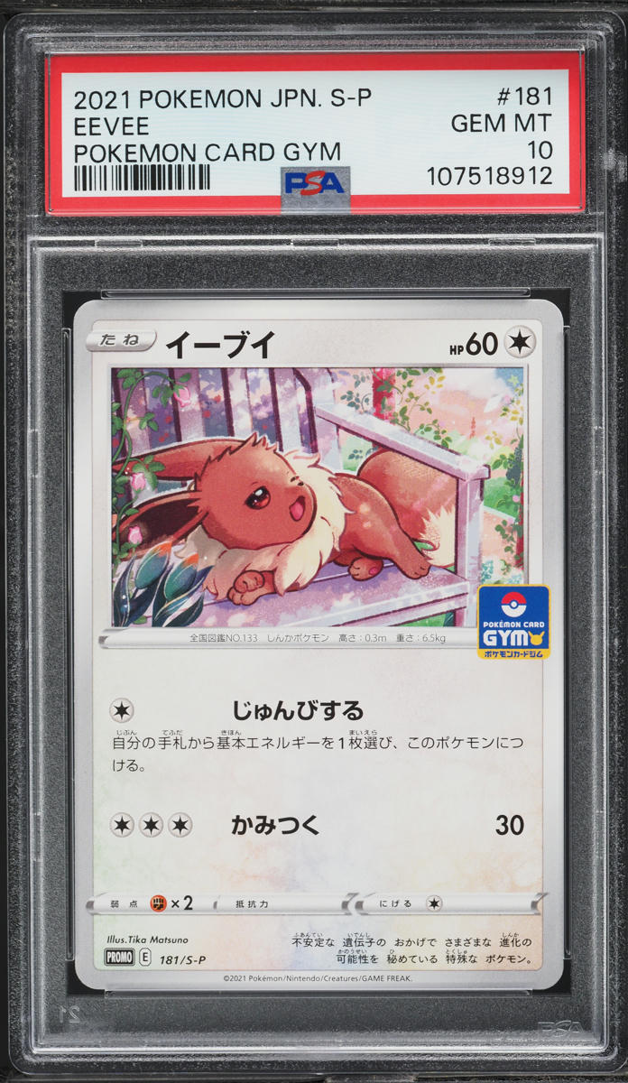 2021 Pokemon Japanese Sword & Shield Promo Card Gym Eevee #181 PSA 10 GEM MINT