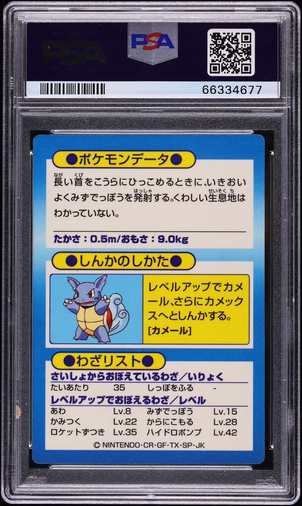 1997 Pokemon Japanese Meiji Promo Foil Squirtle PSA 7 NRMT