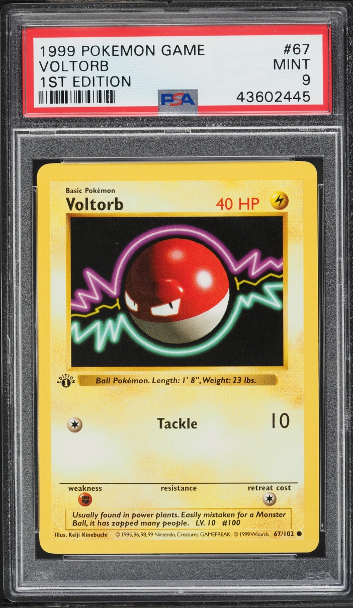 1999 Pokemon Base Set Shadowless 1st Edition Voltorb #67 PSA 9 MINT