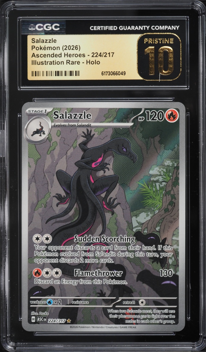 2026 Pokemon Mega Evolution Ascended Heroes IR Salazzle #224 CGC 10 PRISTINE