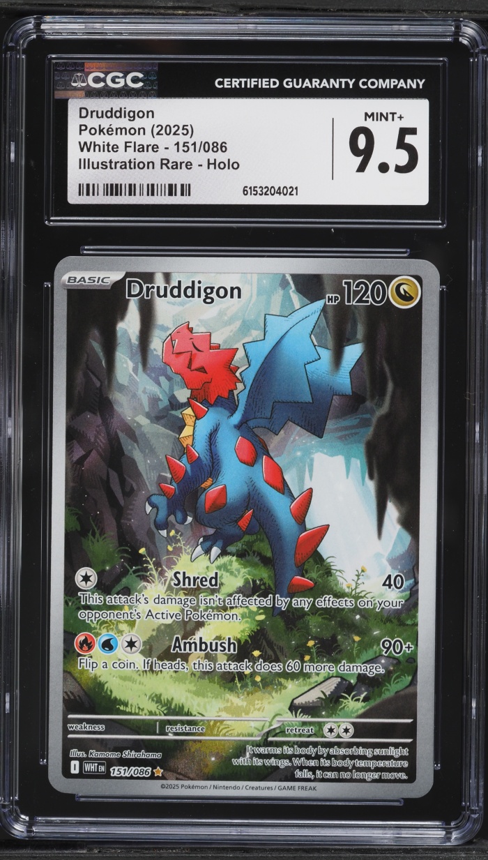 2025 Pokemon Scarlet & Violet White Flare IR Druddigon #151 CGC 9.5 MINT+