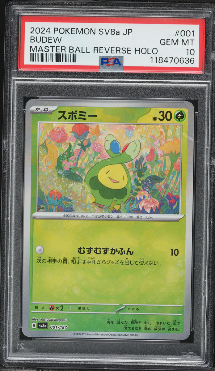 2024 Pokemon Japanese SV Terastal Fest Ex Master Ball Reverse Holo Budew #001 PSA 10 GEM MINT