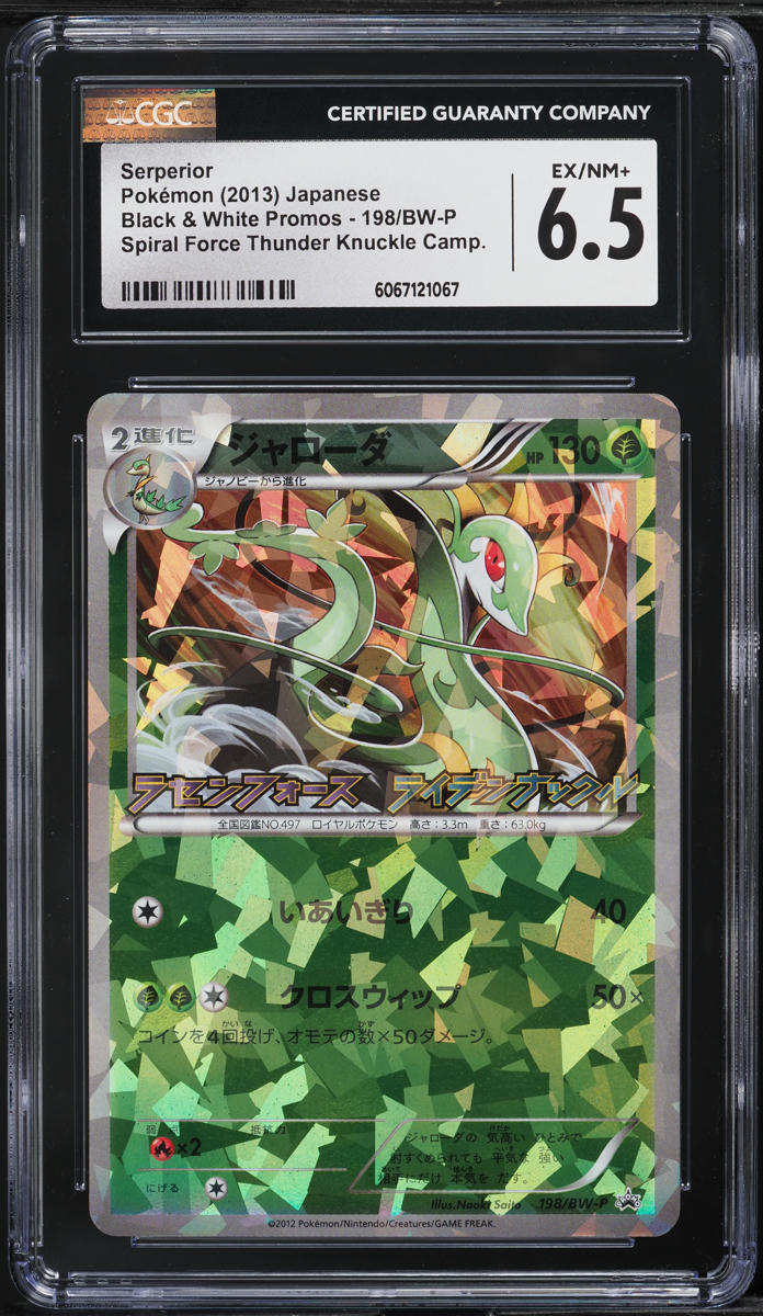2013 Pokemon Japanese BW Promo Spiral Force Thunder Knuckle Serperior CGC 6.5 - Main Image