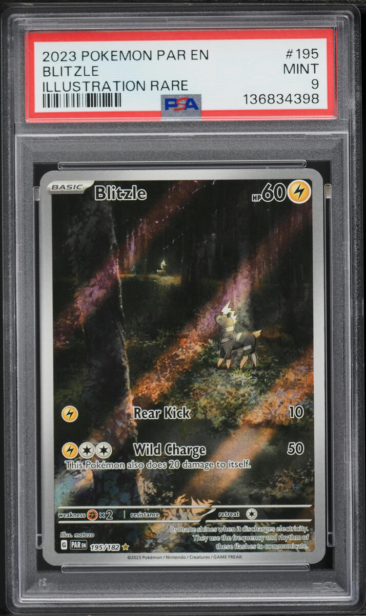 2023 Pokemon Scarlet & Violet Paradox Rift IR Blitzle #195 PSA 9 MINT