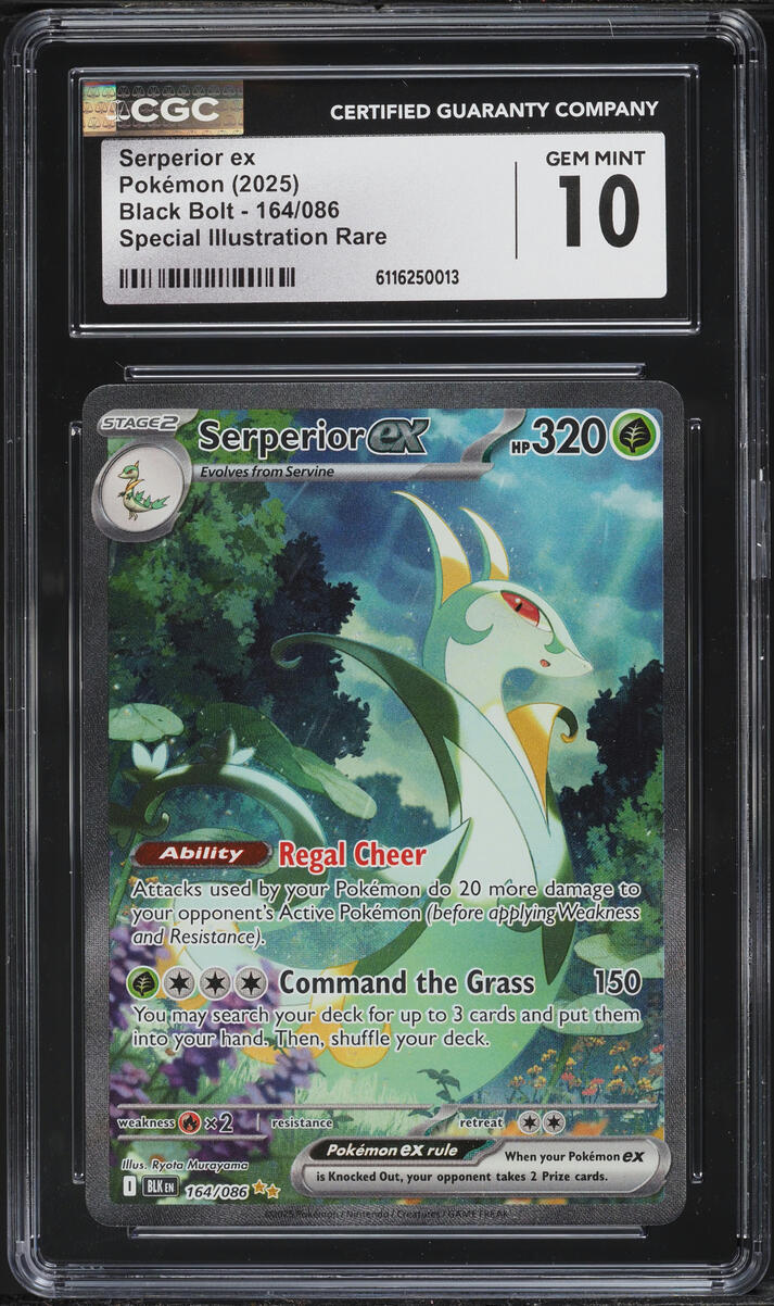 2025 Pokemon Scarlet & Violet Black Bolt SIR Serperior Ex #164 CGC 10 GEM MINT