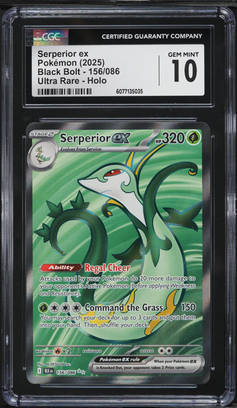 2025 ポケモン SV11B ガマゲロゲAR PSA10 PSA10】ポケモンカード