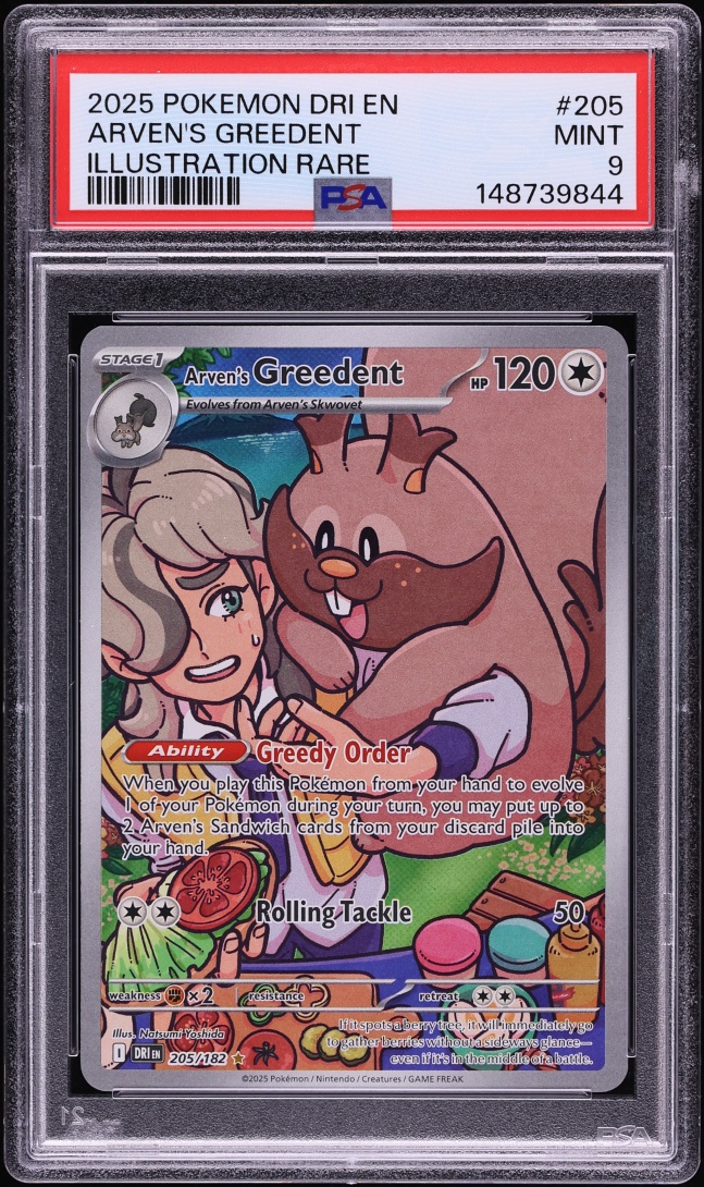 2025 Pokemon Scarlet & Violet Destined Rivals IR Arven's Greedent #205 PSA 9 MINT