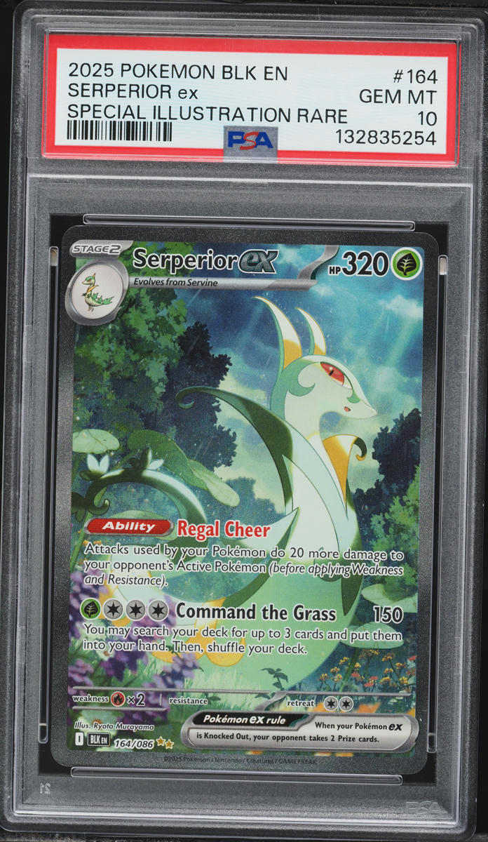 2025 Pokemon Scarlet & Violet Black Bolt SIR Serperior ex #164 PSA 10 GEM MINT