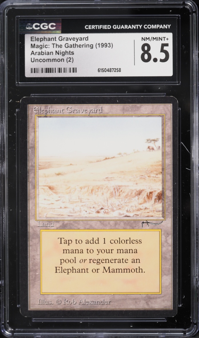 1993 Magic The Gathering MTG Arabian Nights Elephant Graveyard CGC 8.5 NM-MT+