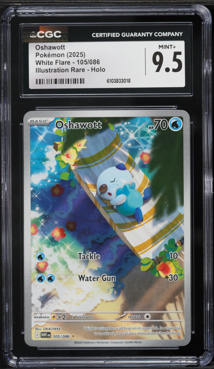 2025 Pokemon Scarlet & Violet White Flare IR Oshawott #105 CGC 9.5 MINT+