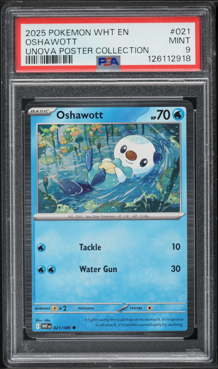 2025 Pokemon Scarlet & Violet White Flare Unova Poster Collection Oshawott #21 PSA 9 MINT