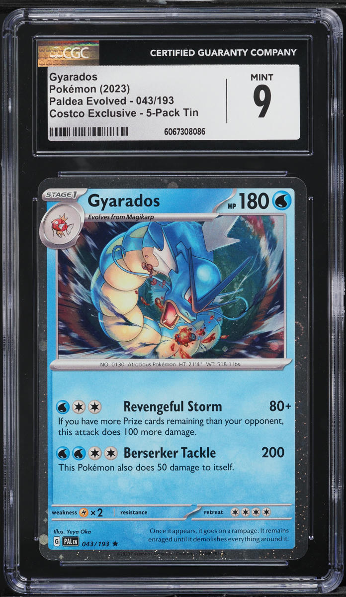 2023 Pokemon SV Paldea Evolved Costco Exclusive Gyarados #43 CGC 9 MINT