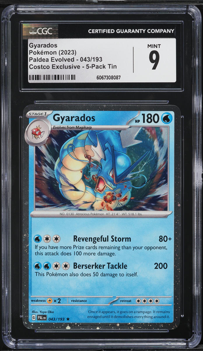 2023 Pokemon Scarlet & Violet Promo Paldea Evolved Costco Exclusive Gyarados #43 CGC 9 MINT
