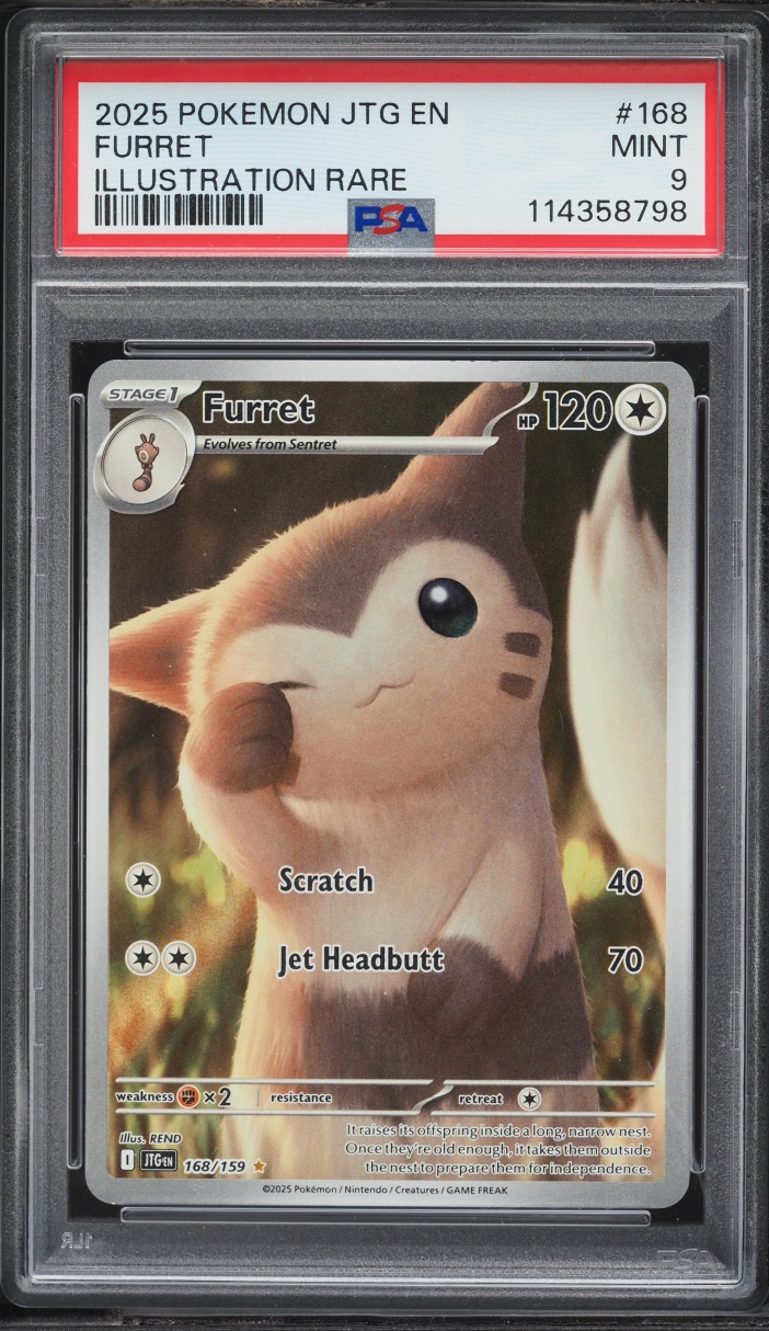 2025 Pokemon Scarlet & Violet Journey Together IR Furret #168 PSA 9 MINT