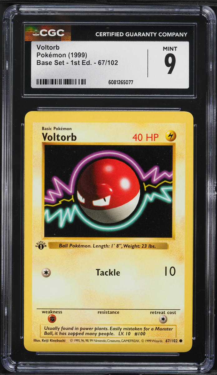 1999 Pokemon Base Set Shadowless 1st Edition Voltorb #67 CGC 9 MINT on ...