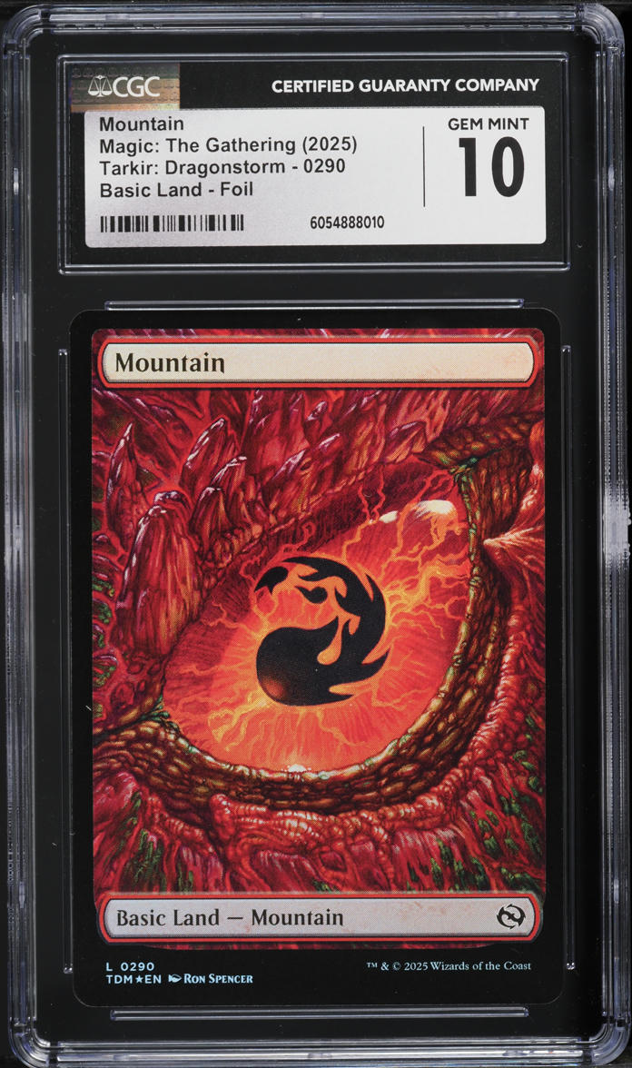 2025 Magic The Gathering MTG Tarkir: Dragonstorm Foil