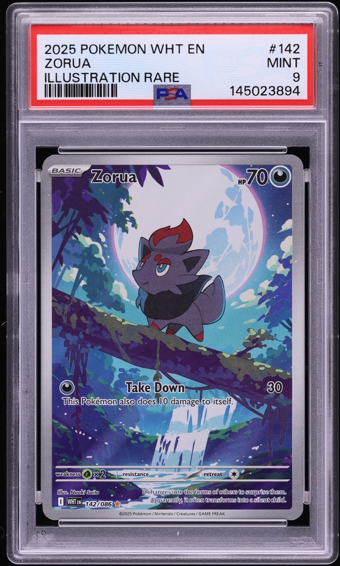 2025 Pokemon Scarlet & Violet White Flare IR Zorua #142 PSA 9 MINT