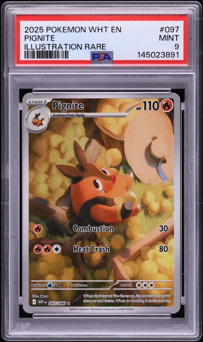 2025 Pokemon Scarlet & Violet White Flare IR Pignite #97 PSA 9 MINT