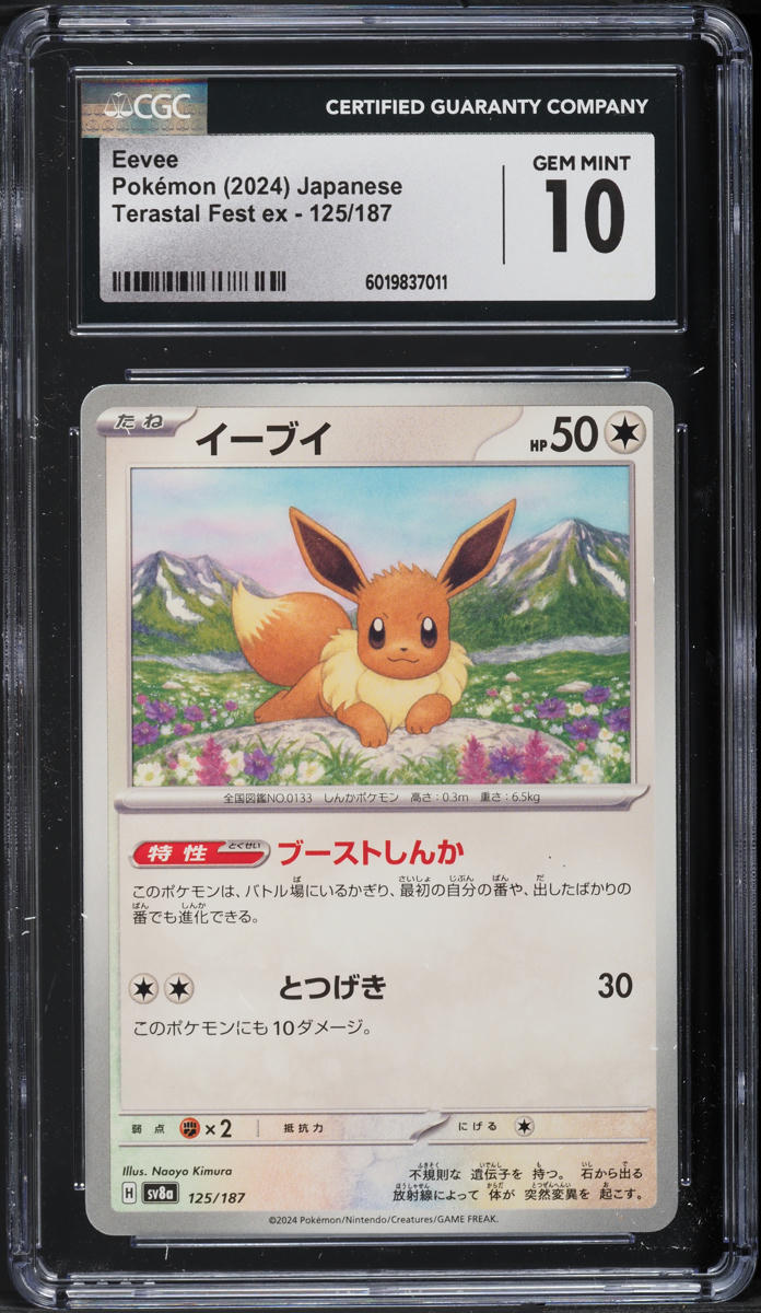 2024 Pokemon Japanese SV Terastal Fest ex Eevee #125 CGC 10 GEM MINT - Main Image