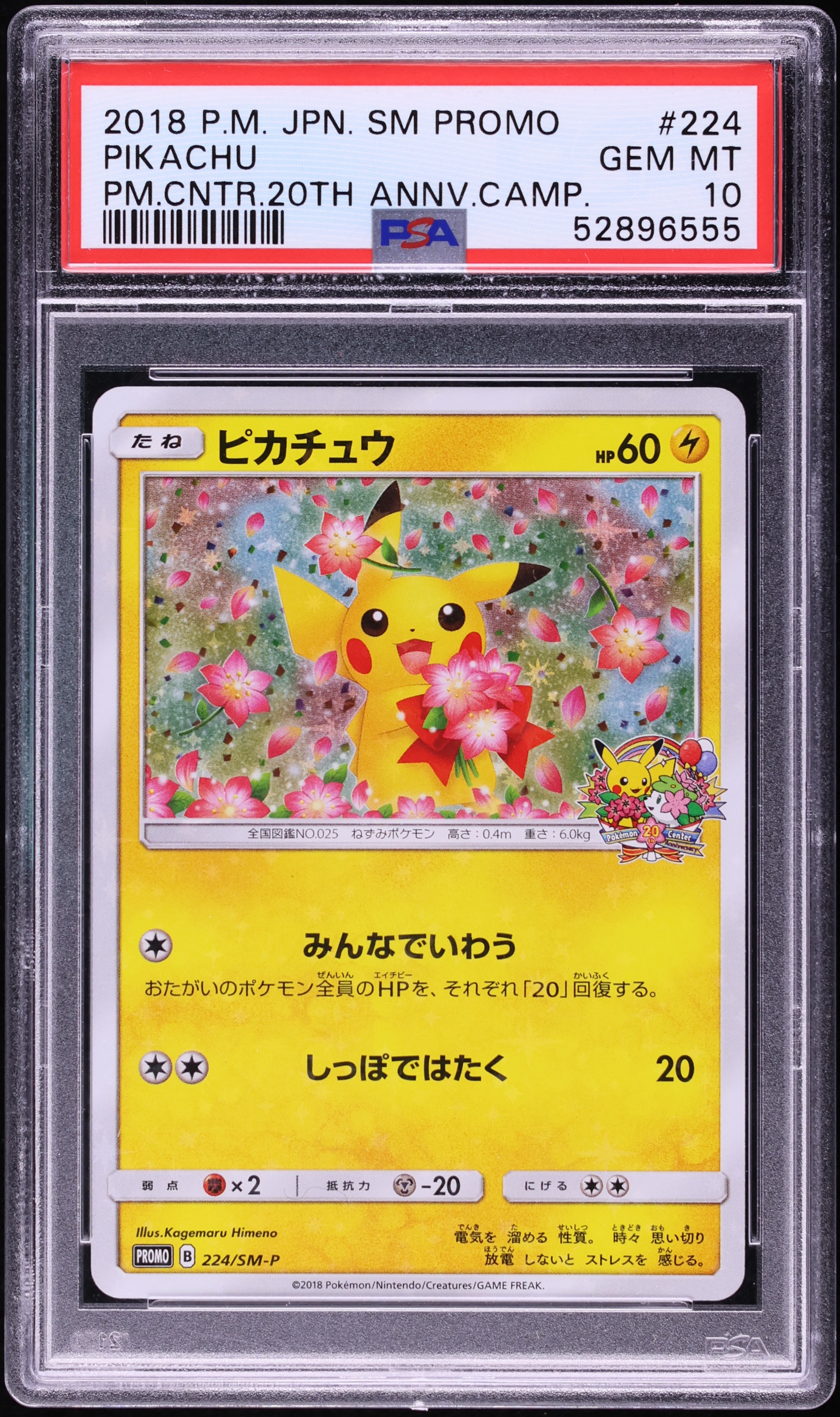 2018 Pokemon Japanese SM Promo Center 20th Anniversary Campaign Pikachu #224 PSA 10 GEM MINT