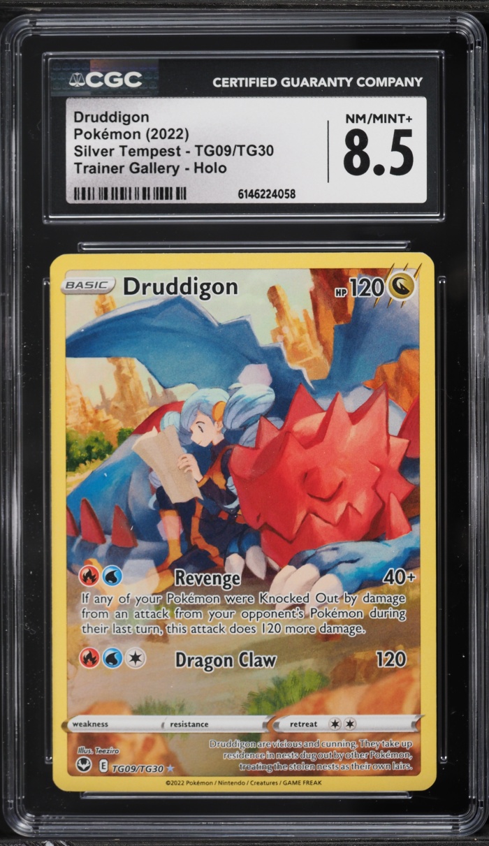 2022 Pokemon Sword & Shield Silver Tempest Trainer Gallery CHR Druddigon #TG09 CGC 8.5 NM-MT+