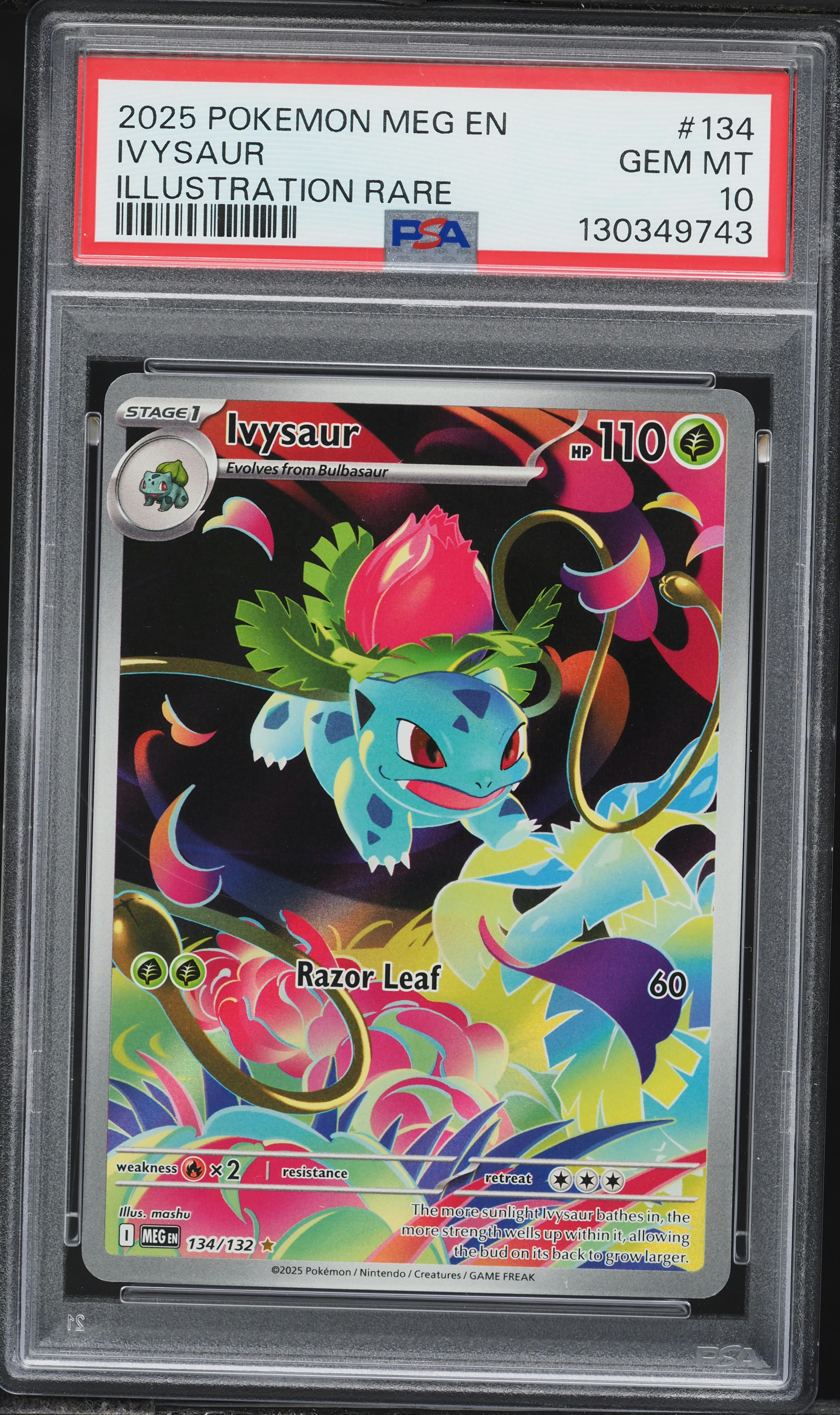 2025 Pokemon Mega Evolution IR Ivysaur #134 PSA 10 GEM MINT