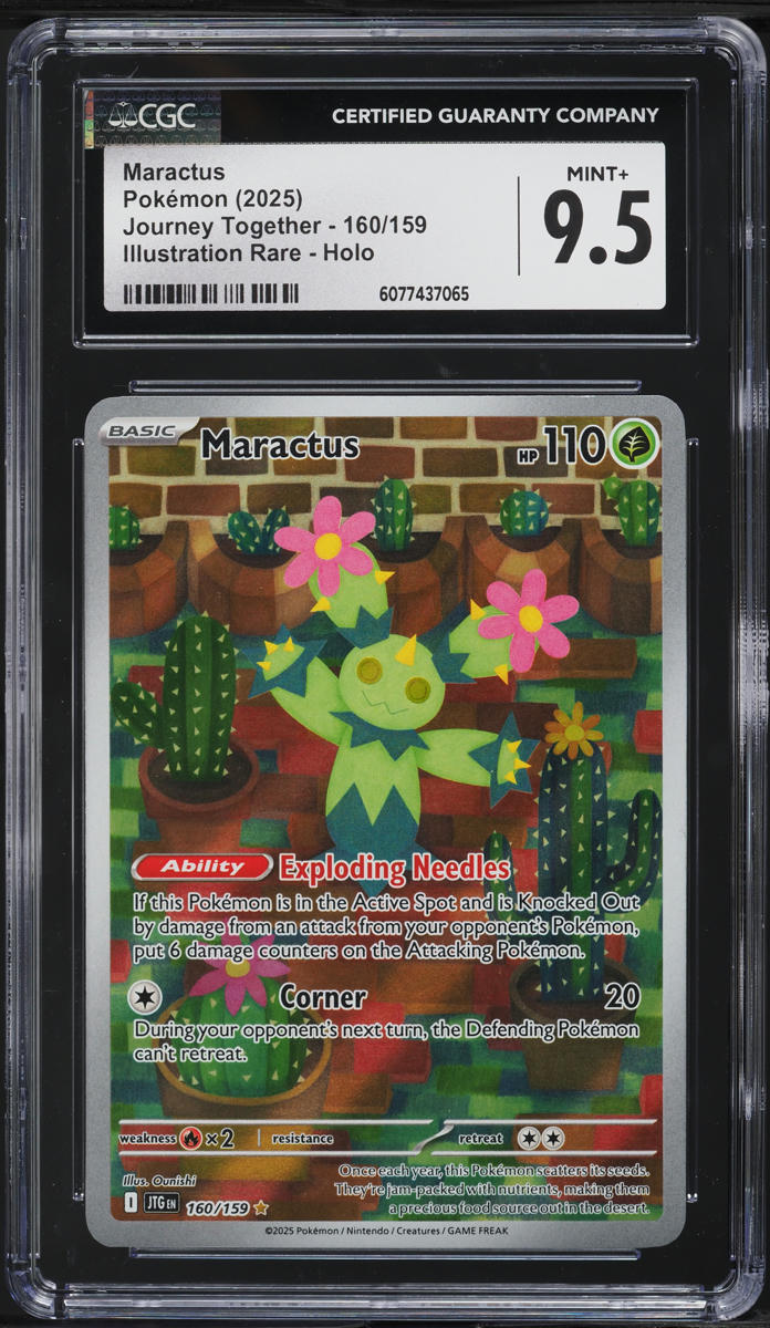 2025 Pokemon Scarlet & Violet Journey Together IR Maractus #160 CGC 9.5 MINT+ - Main Image