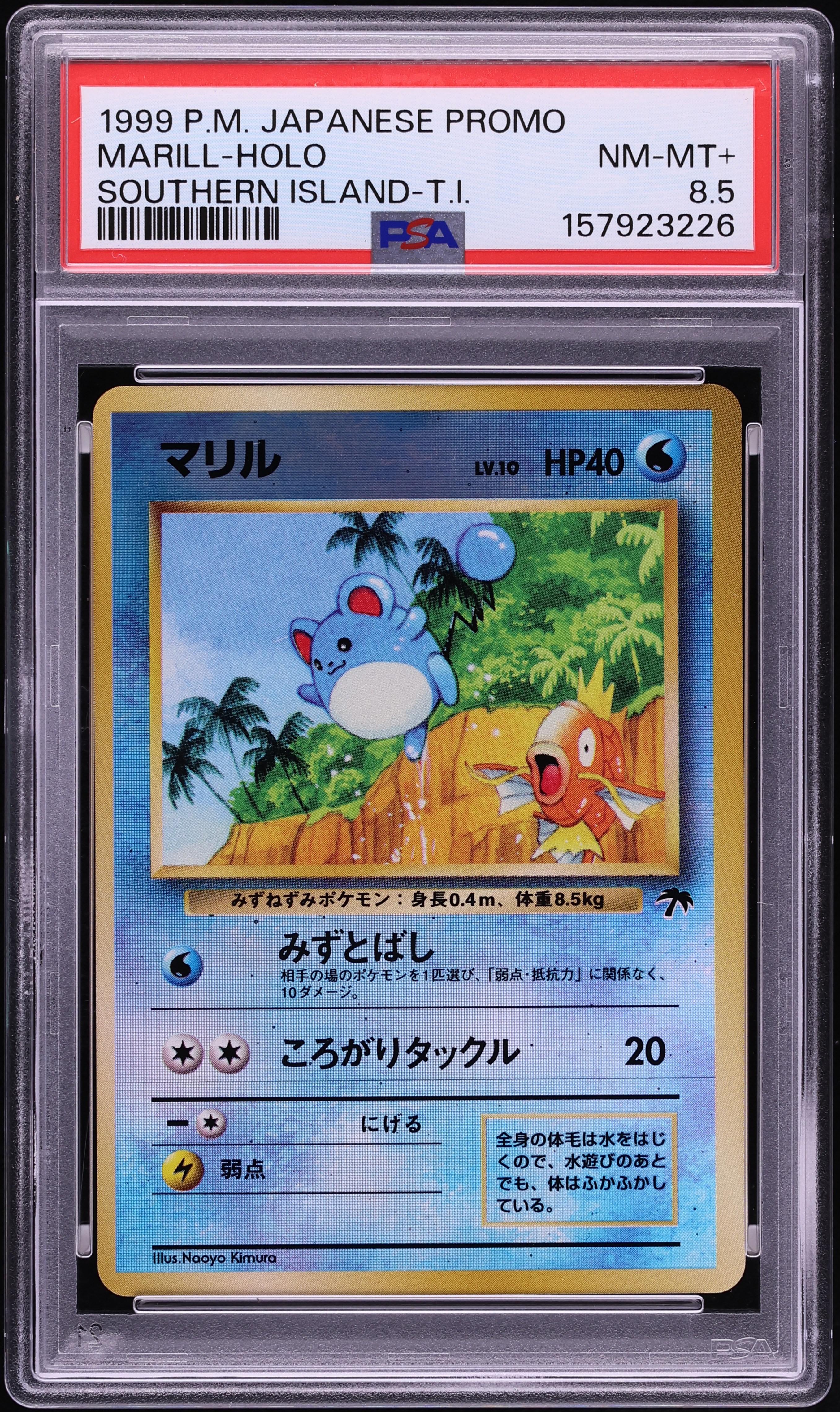 1999 Pokemon Japanese Southern Islands T.I. Holo Marill PSA 8.5 NM-MT+