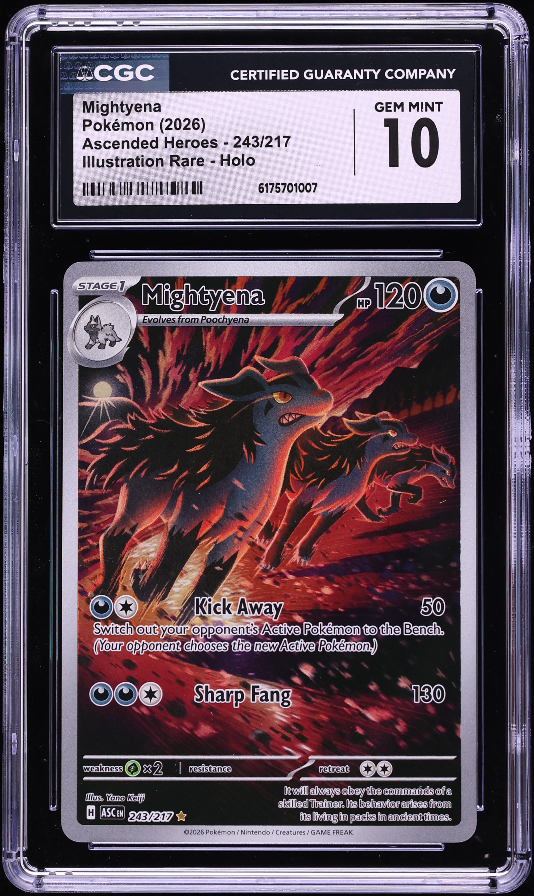 2026 Pokemon Mega Evolution Ascended Heroes IR Mightyena #243 CGC 10 GEM MINT