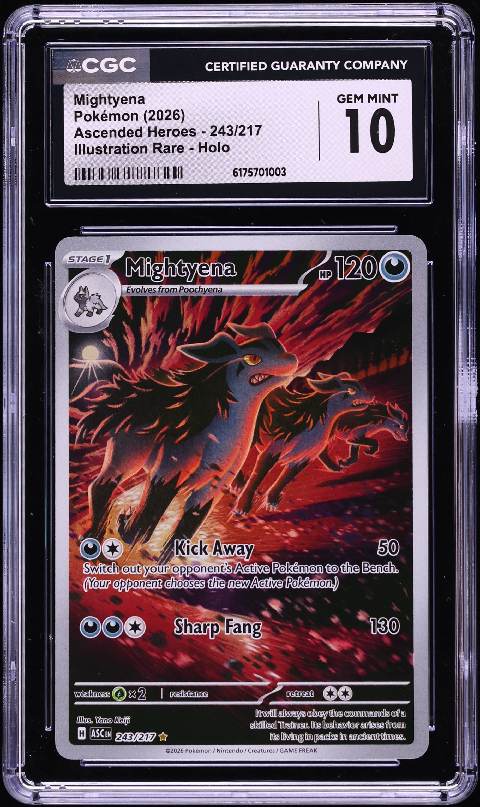 2026 Pokemon Mega Evolution Ascended Heroes IR Mightyena #243 CGC 10 GEM MINT