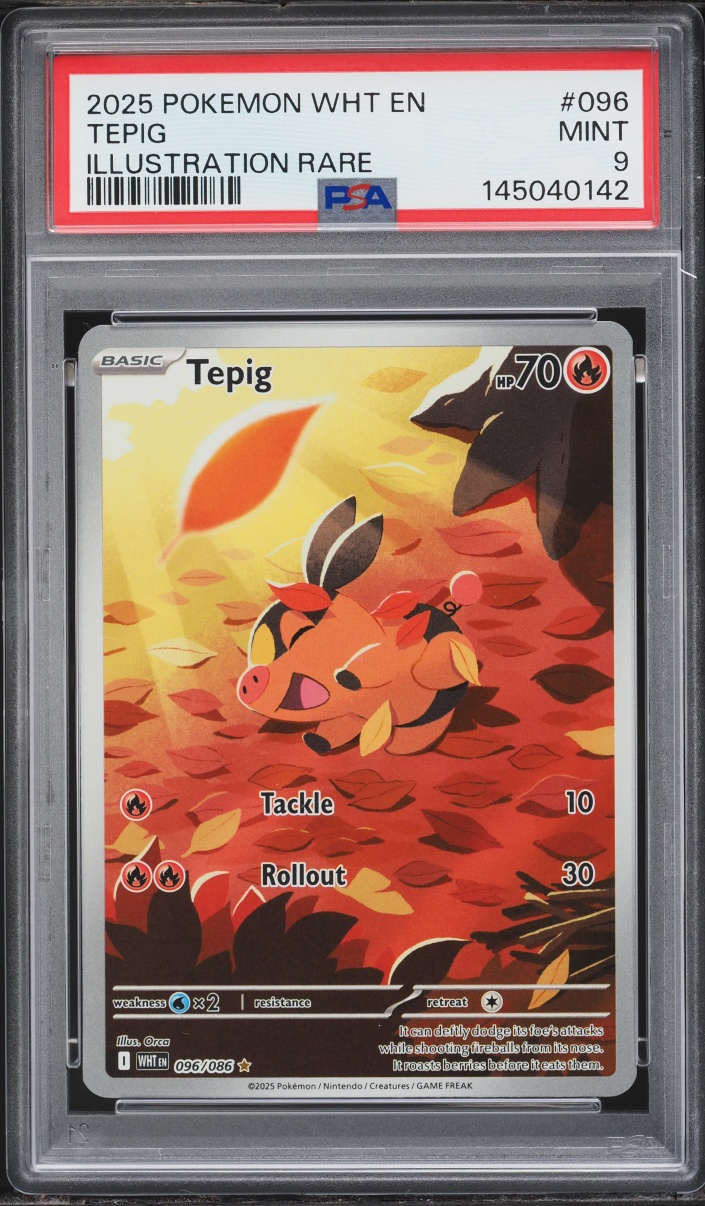 2025 Pokemon Scarlet & Violet White Flare IR Tepig #96 PSA 9 MINT