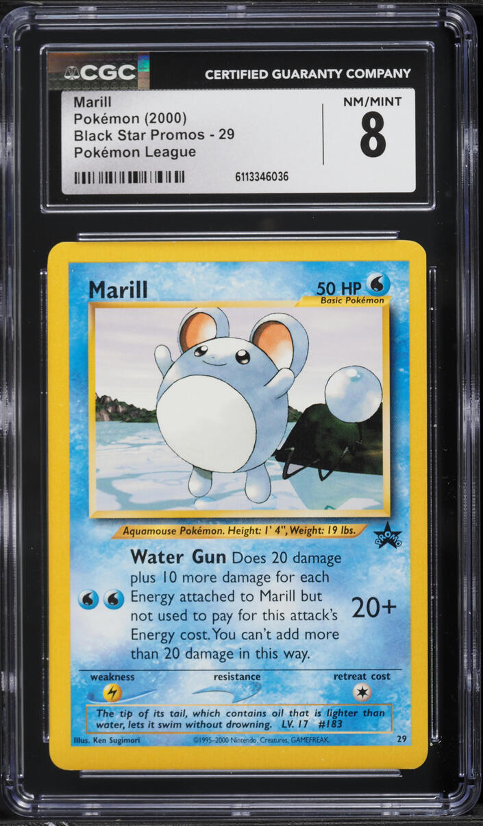 2000 Pokemon League Black Star Promo Marill #29 CGC 8 NM-MT