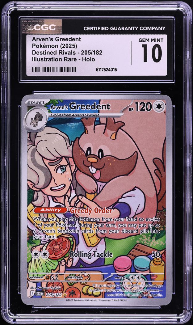 2025 Pokemon Scarlet & Violet Destined Rivals IR Arven's Greedent #205 CGC 10 GEM MINT
