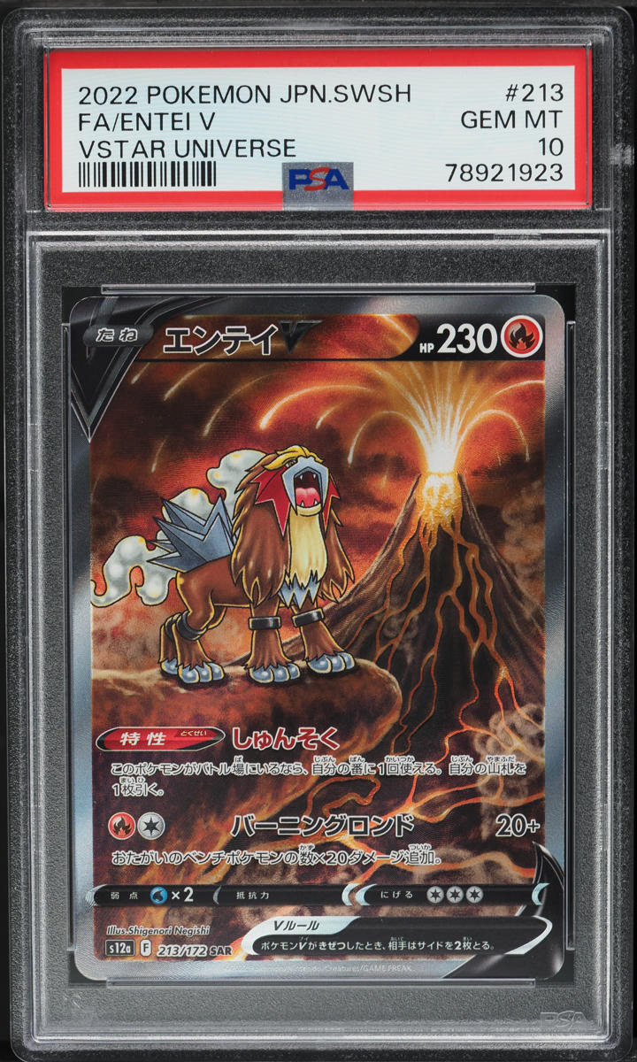 2022 Pokemon Japanese Sword & Shield VSTAR Universe SAR Entei V #213 PSA 10 GEM MINT