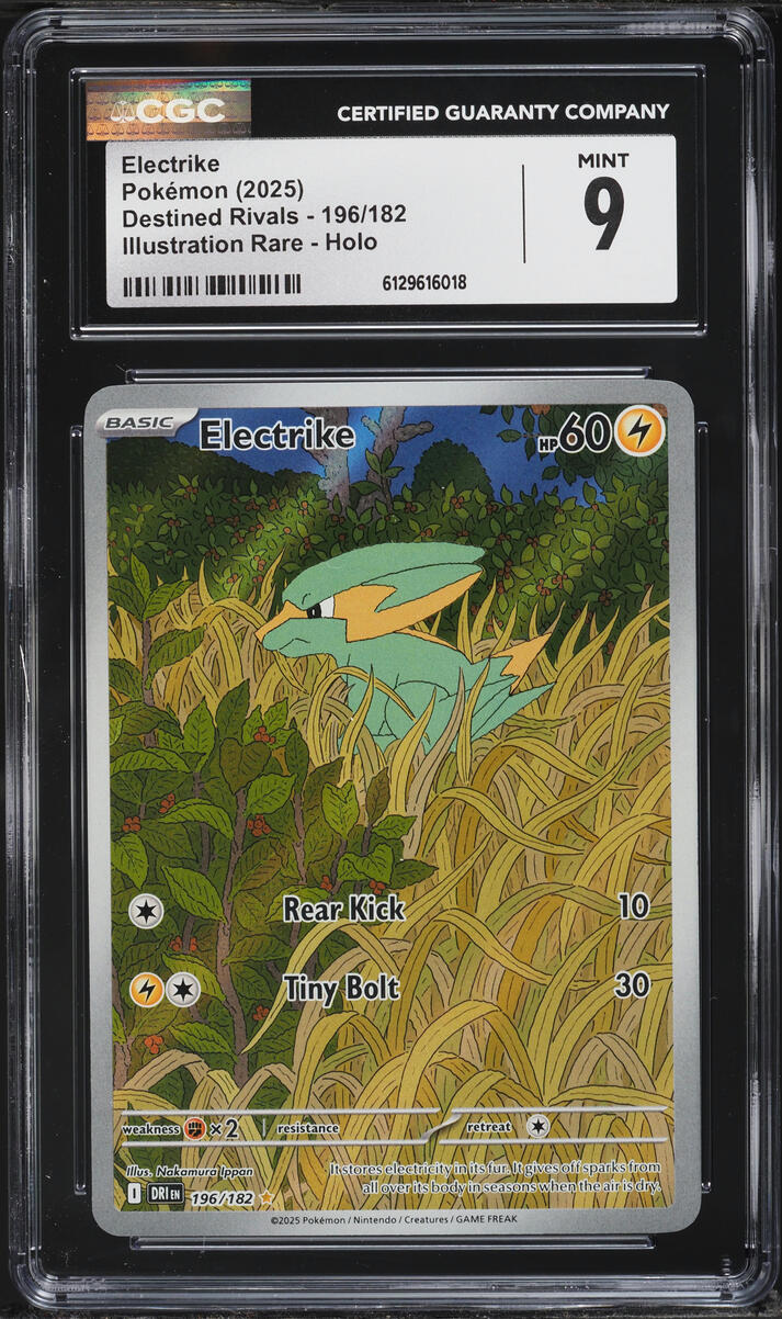 2025 Pokemon Scarlet & Violet Destined Rivals IR Electrike #196 CGC 9 MINT