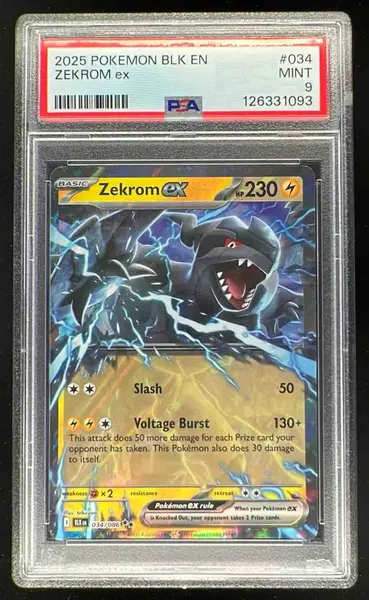 2025 Pokemon Scarlet & Violet Black Bolt BWR Zekrom Ex #172 PSA 10