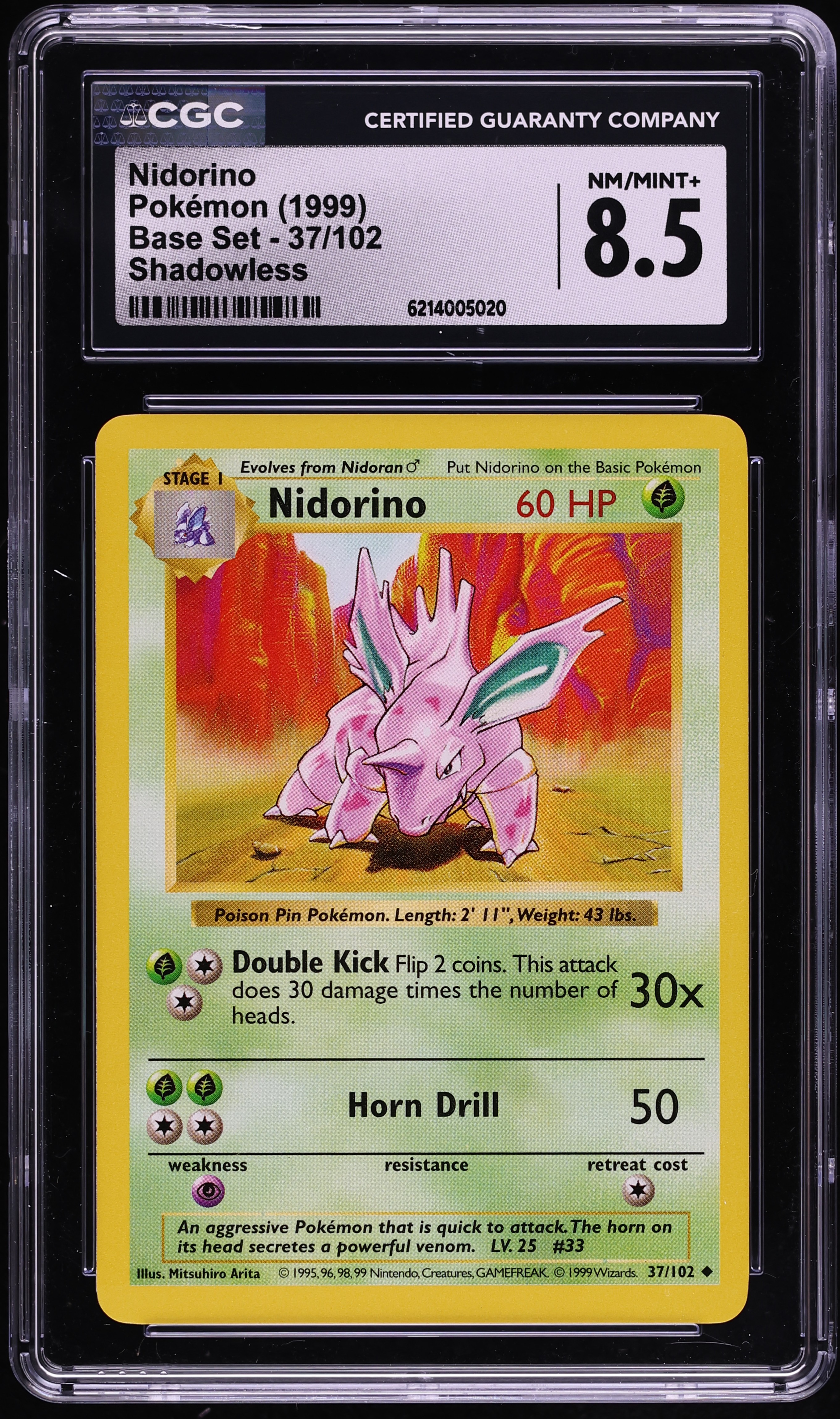 1999 Pokemon Base Set Shadowless Nidorino #37 CGC 8.5 NM-MT+