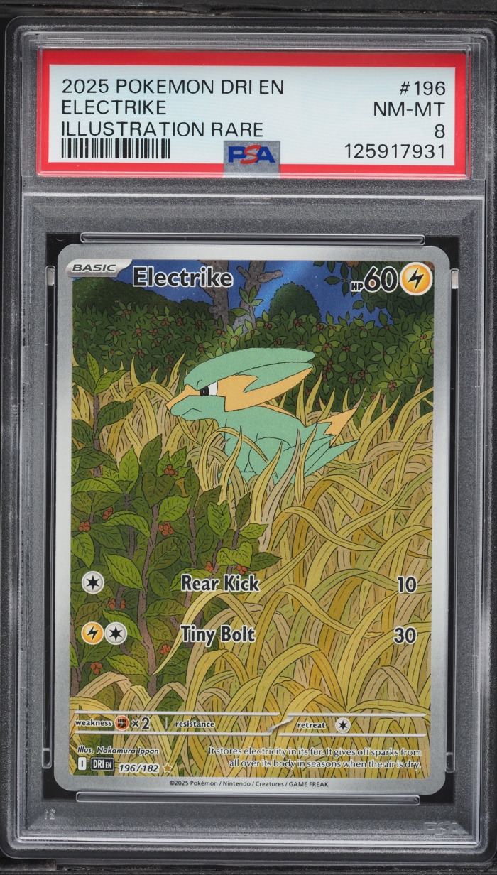 2025 Pokemon Scarlet & Violet Destined Rivals IR Electrike #196 PSA 8 NM-MT
