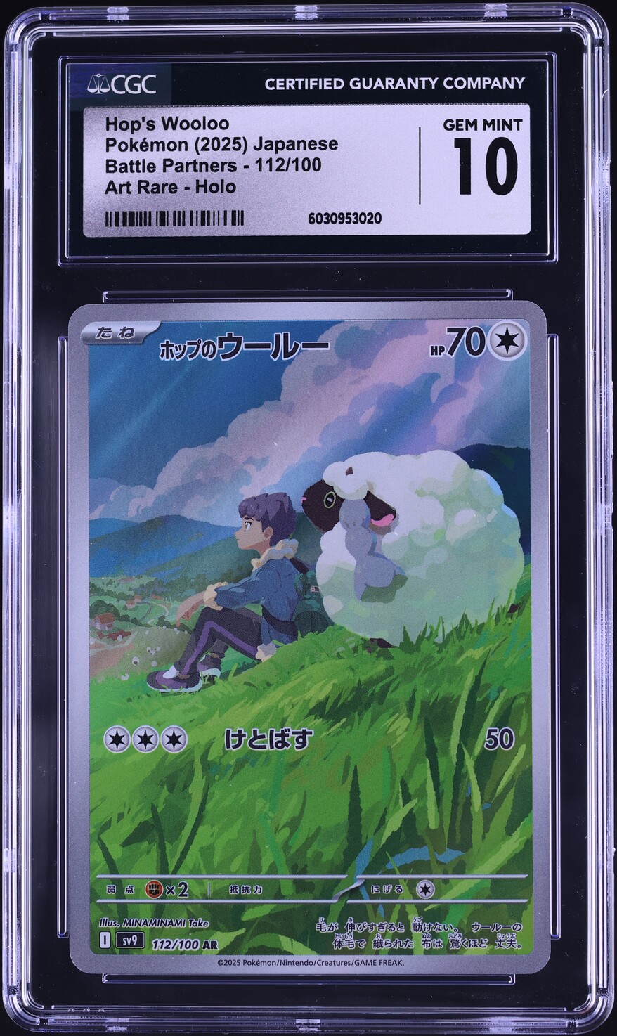 Pokemon Battle Partners Hop's Wooloo AR 112/100 Pokemon Card  Japanese, Battle  Partners Set, Near Mint, Full Art Holo, Scarlet & Violet Era Japanese Near  Mint Pokemon Card
