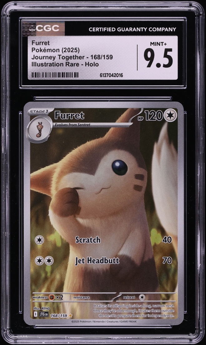 2025 Pokemon Scarlet & Violet Journey Together IR Furret #168 CGC 9.5 MINT+