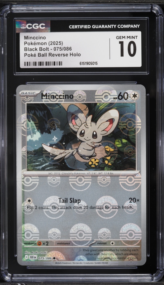 2025 Pokemon Scarlet & Violet Black Bolt Poke Ball Reverse Holo Minccino #75 CGC 10 GEM MINT