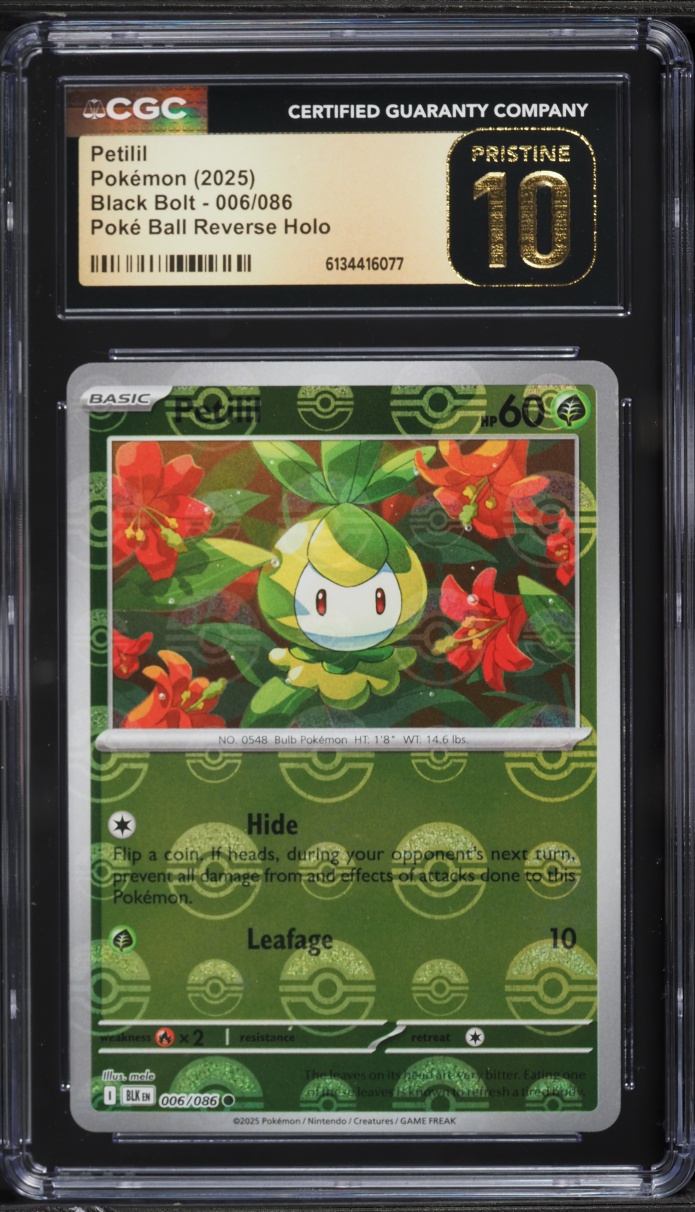 2025 Pokemon Scarlet & Violet Black Bolt Poke Ball Reverse Holo Petilil #006 CGC 10 PRISTINE